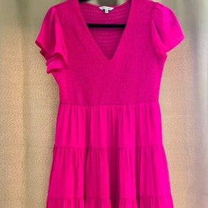 Naked Zebra Hot Pink Dress - Small